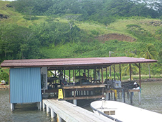 Pearl Grafting Platform