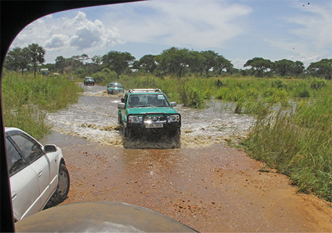 Photo by Bob Stephens.